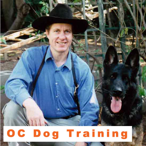 OC Dog Training your orange County Dog Trainer