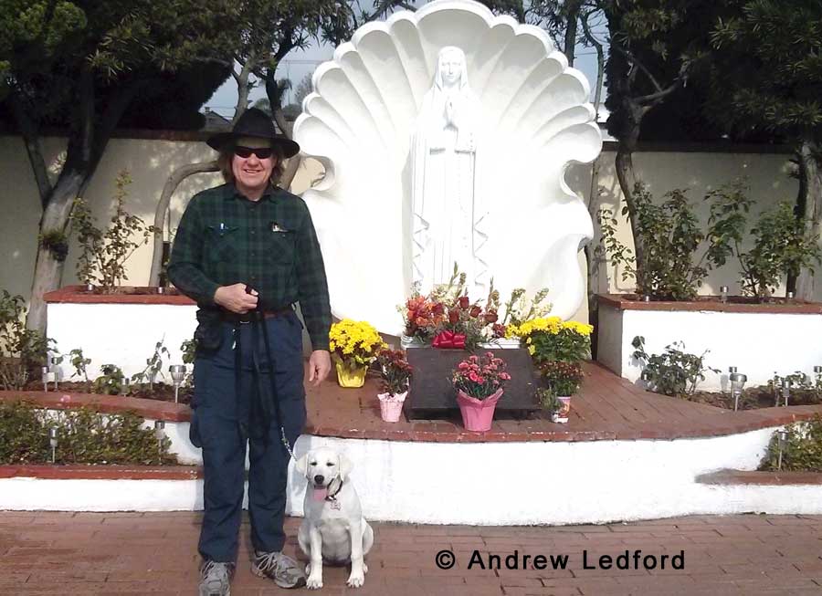 Training a Labrador Retriever at the Historic Long Beach Sagely Monastery in Long Beach