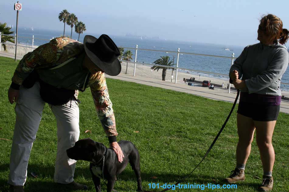 Praise during a dog training session in Long Beach