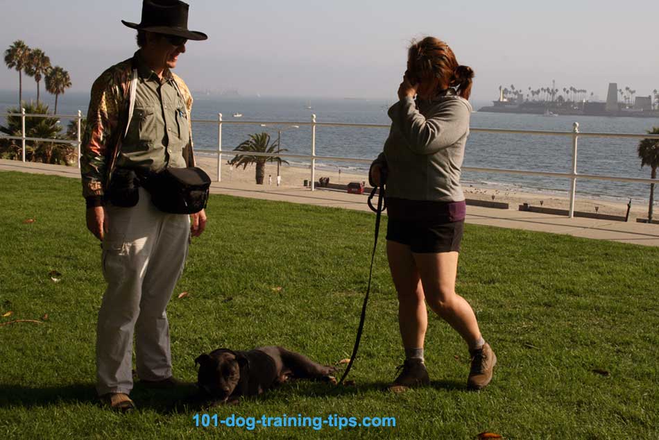 Dog Training Bluff Park in Long Beach