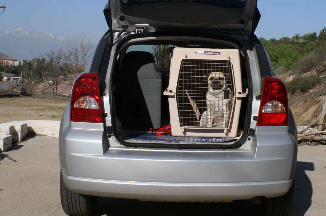 Dog Crate in a Car.