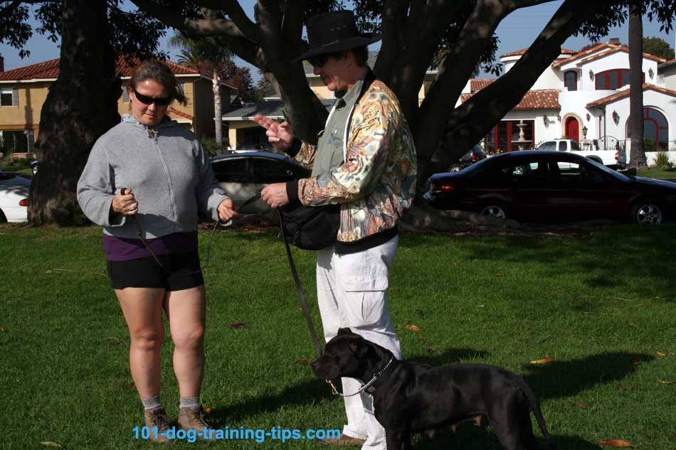 Dog training in Long Beach, CA.