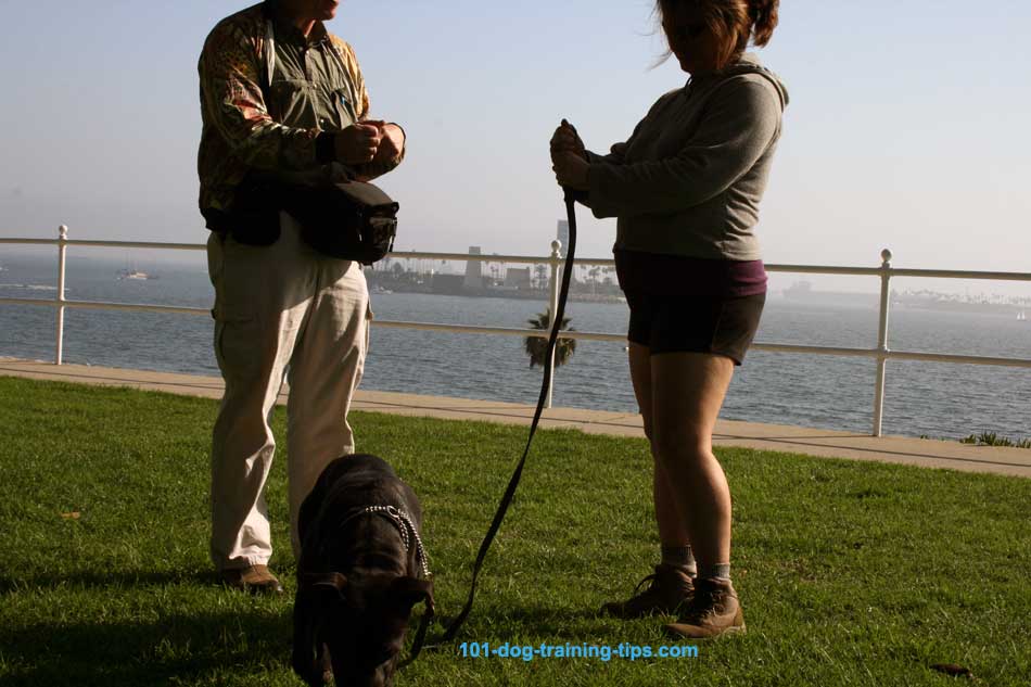 Giving step by step instruction for Leash handling.