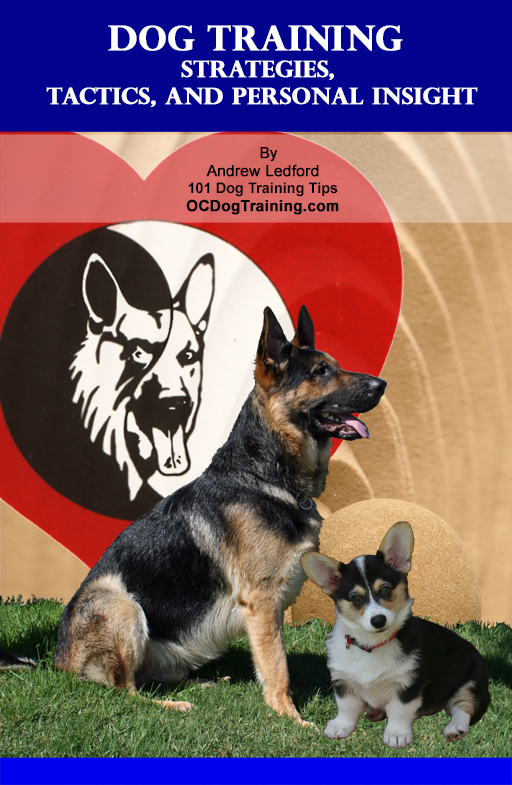 Dog Training Strategies, Tactics, and Personal Insight Book Cover