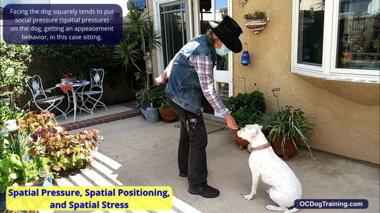 Spatial Pressure and Spatial Positioning