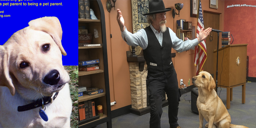 Public Speaking Course Combined With Dog Training