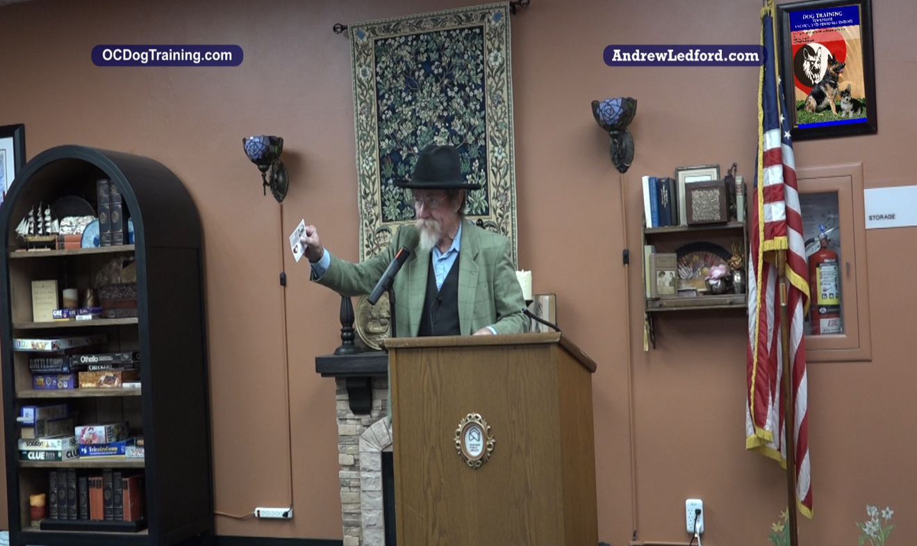 Training Tip 101 Dog Training Strategies Tactics Personal Insight