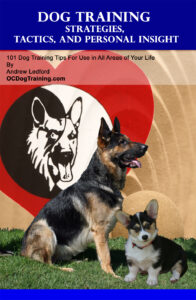 Dog Training Strategies Cover