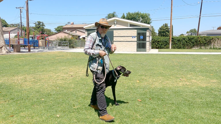 Dog Training in Whittier, CA.