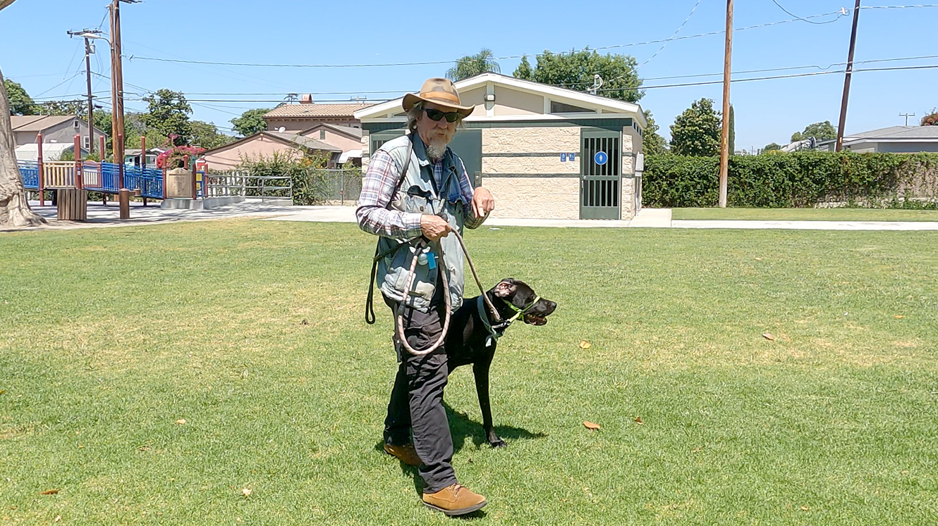 Dog Training in Whittier, CA.