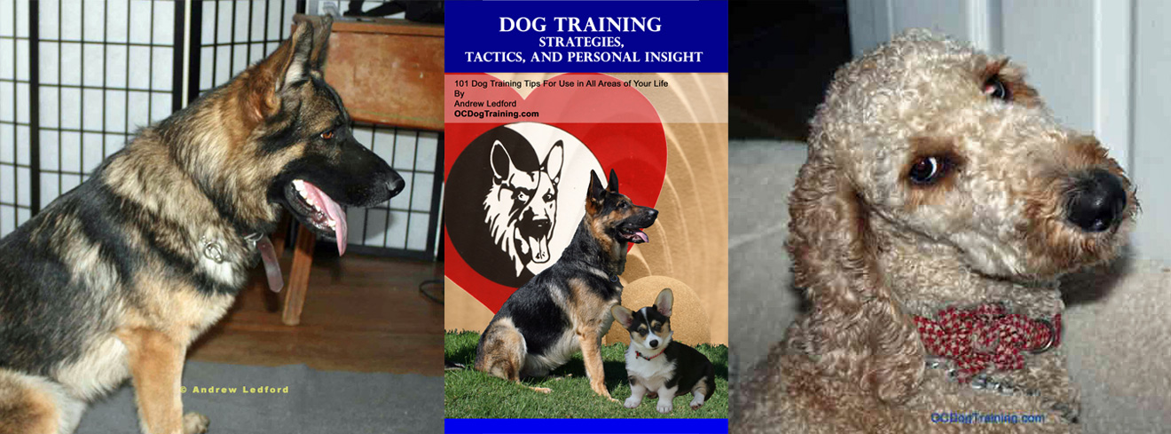 Dog Training Strategies and Tactics Book