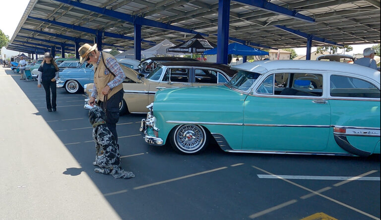 Dog Training at Car Show in La Habra CA