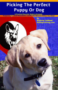 Picking The Perfect Puppy Or Dog Book